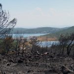 ayvalik-yangin4