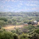 afrin-askeri arac