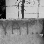 mavi-balina-sb
