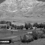 rifat-dogan-haber