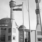 rotterdam-cami-sb