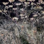 Anselm-Kiefer