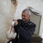 bulgaristan-leylek