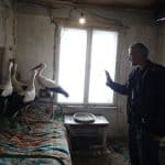 bulgaristan-leylek1