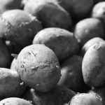 patates-sb