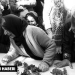 rifat-dogan-haber