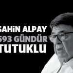 sahinalpay593