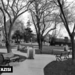 eray ozer yazi
