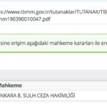 TBMM_Engel_Konfirmasyon