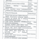 havalimani is cinayet
