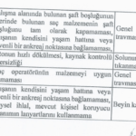 havalimani is cinayet2