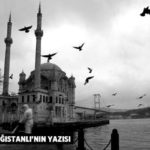 mustafa-alp-dagistanli