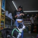 Bogota'da pandemi döneminde sahibine yiyecek götüren köpek; Nino