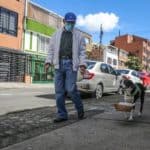 Bogota'da pandemi döneminde sahibine yiyecek götüren köpek; Nino