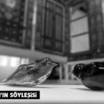 gulben-kapak-sb