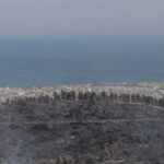 Hatay'daki orman yangını kontrol altına alınmaya çalışılıyor