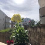 20210424-sanem-guven-yazi3