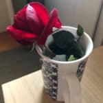 20210424-sanem-guven-yazi5