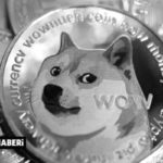 efe-sonmez-dogecoin-sb