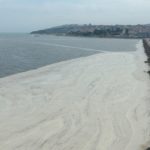 20210608-musilaj-temizlik-balikesir1