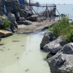 beyaz su_1024x580