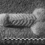 yorkshire-kazi-penis-kuzey-arkeoloji-ortaklığı-SB