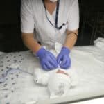 Turkey: Caesarean section amid coronavirus pandemic