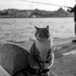 Daily Life In Istanbul