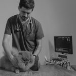 20220507-hayvan-sigortasi-tima-miroshnichenko-pexels-sb