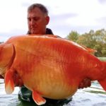 20221122-japon-baligi