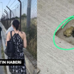 2023-06-22-cerrahpasa-mesude-ersan