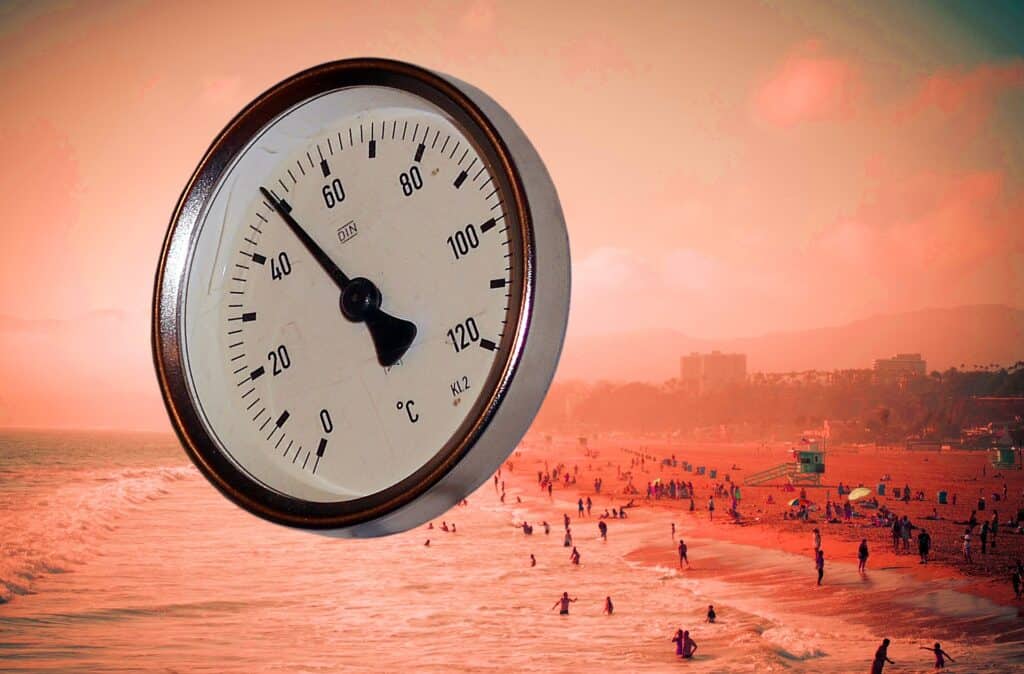 Fotoğraf: Pixabay