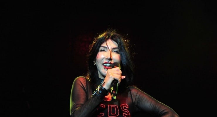 Hande Yener'e 'anayasal düzeni hedef alma' suçlamasıyla soruşturma