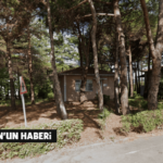 20230721-bogazici lojman-google maps-canan coskun
