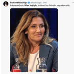 20232211- dilan yeşilgöz 3