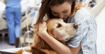 Köpek