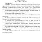 20240722-ötanazi