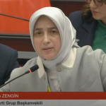 2024-13-11- özlem zengin 1