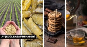 Bir haftada Avrupa'nın reddettiği ürünler: Soya, asma yaprak, bisküvi, bitki çayı…