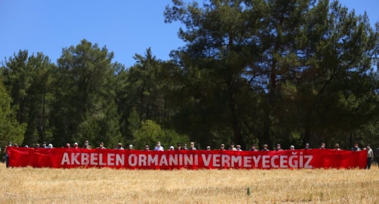 Bam telimize bastılar, davranın!