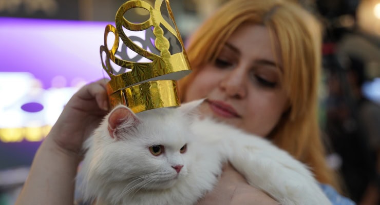 Festival Anlarından