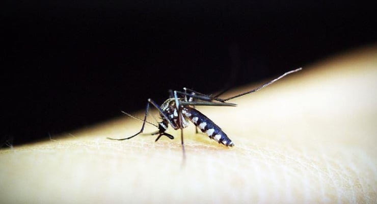 Chikungunya aşısının lisansı ciddi yan etki şüphesiyle iptal