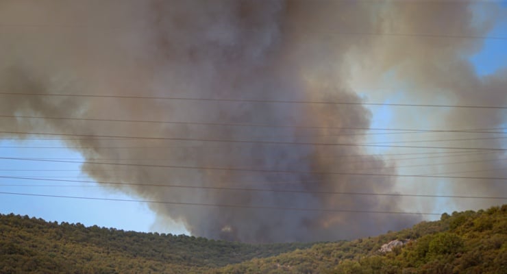 Bursa'da orman yangını kontrole alındı