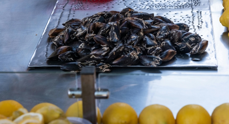Bursa'da dört genç midye yedikten sonra hastaneye kaldırıldı