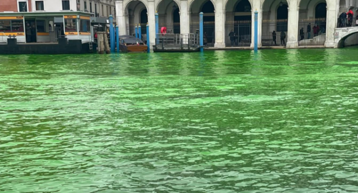 İklim aktivistleri, Venedik'in ünlü 'Büyük Kanal'ını yeşile boyadı
