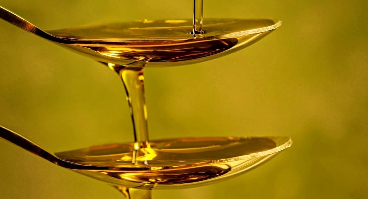 Zeytinyağı ve Kemik Suyu: Bağırsak Sağlığı Üzerine Etkileri - Diken