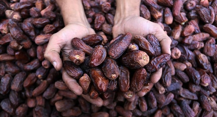 Buzdolabında saklamayın: Hangi hurma alınmalı, nereye konulmalı?