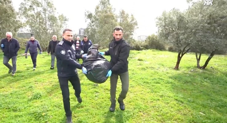 'İzmir'de hayvanlar zehirlendi' iddiası: İnceleme başlatıldı