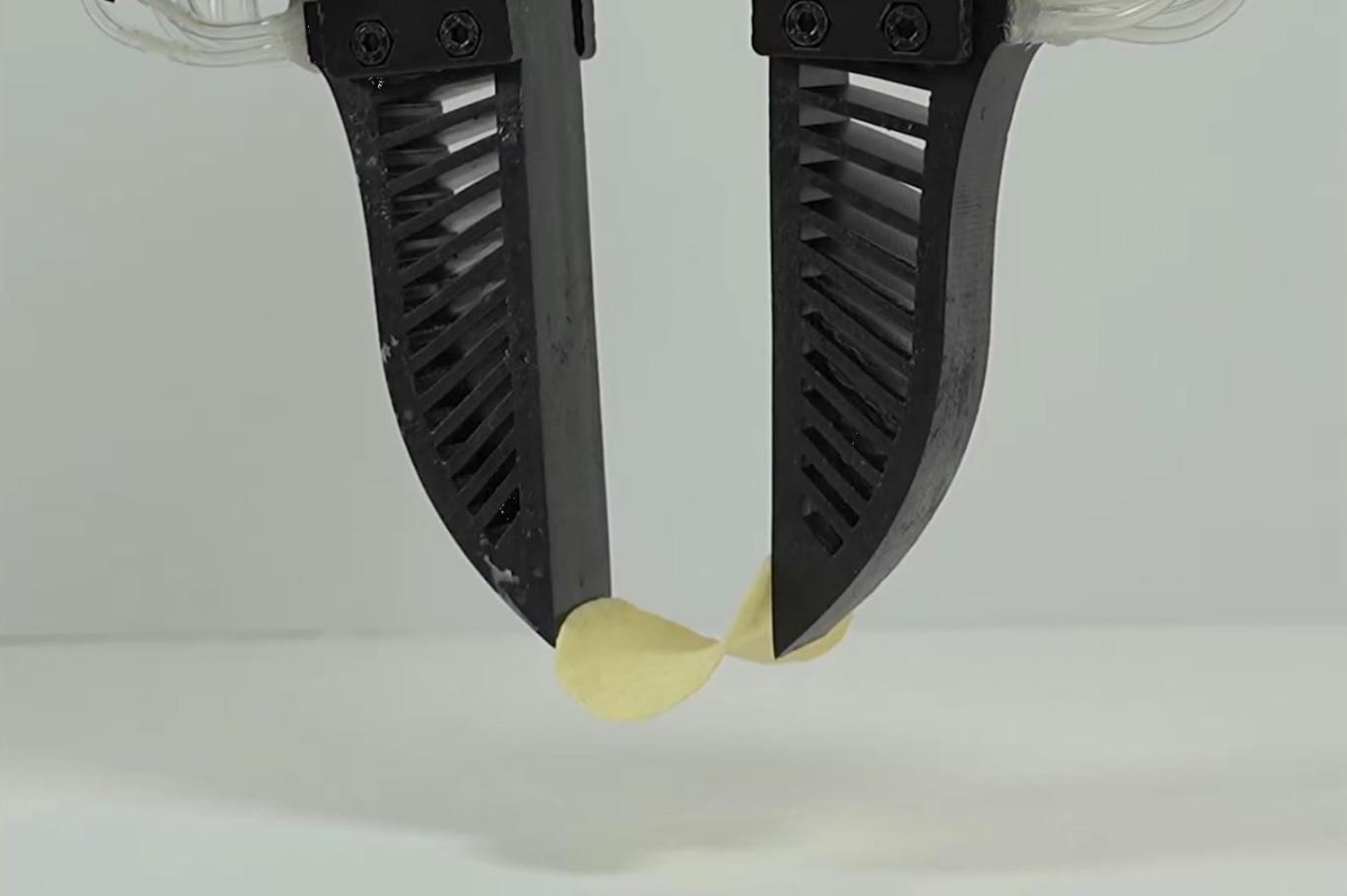 Robot el 'yeni bir çağı başlatabilir': Cipsi kırmadan tutabiliyor