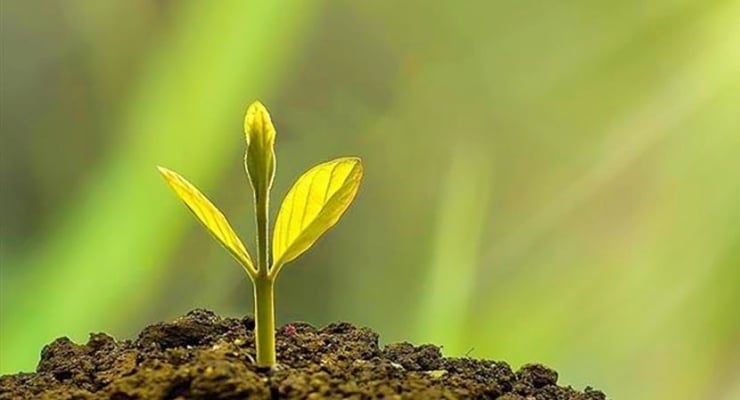 Bahar geldi: Cemre toprağa düştü